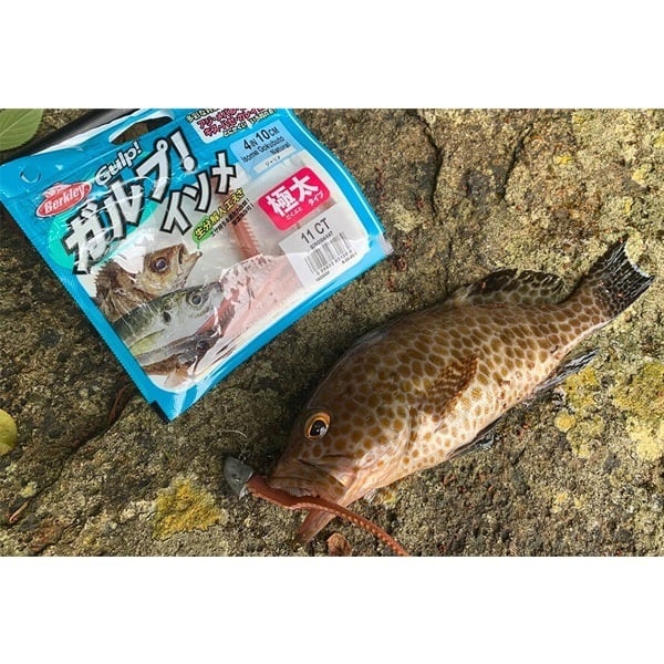 ガルプ！ソルトウォーターイソメ　極太　4インチ